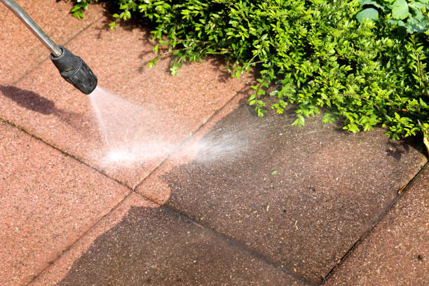 Professional Pressure Washing in Norlina, NC